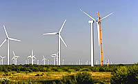 Horse Hollow Windpark 