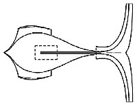 Fisch-Rotor
